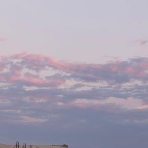 有时无期（《请君》主题曲）