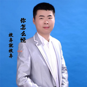 你怎么说放弃就放弃 (DJ版)