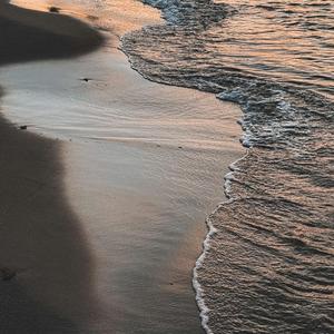 Shoreline