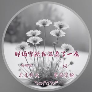 那场雪陪我温柔了一夜