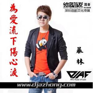 暴林-为爱流下伤心泪 (DJ阿福 Remix)（DJ阿福 (DJ-Afu) Remix）