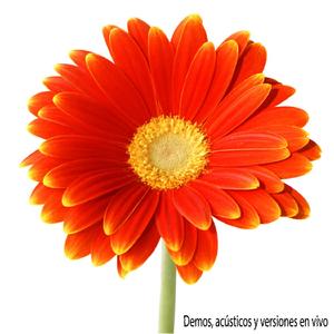 Luna Roja (Versión Libre / Soda Stereo) - En Vivo - (En Vivo - BONUS TRACK)