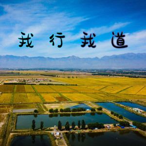 我行我道之冲破云霄