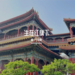 种一个月亮挂天上