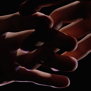 Charlotte (Night Version)