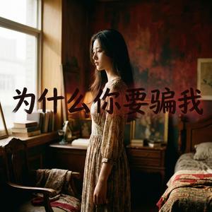 为什么你要骗我