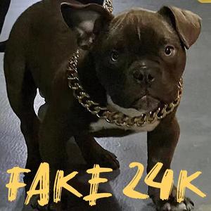 FAKE 24K