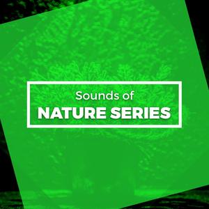 A Meeting of Streams