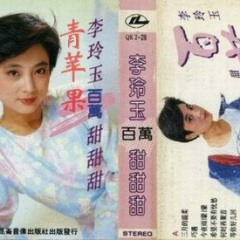 今生宿愿偿