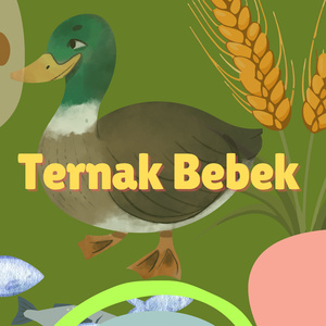Ternak Bebek