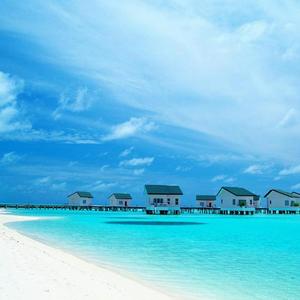 少年的夏日美梦