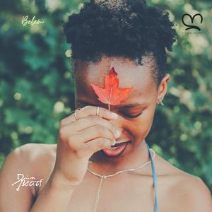 Belem (feat. Kitoko Sound, Arándano, Din BEATS & Afro Dark)