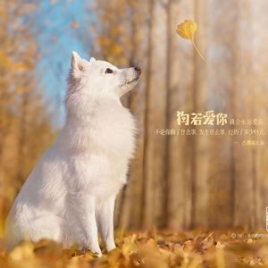中毒