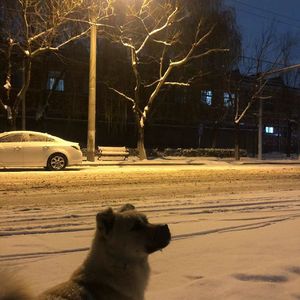 念