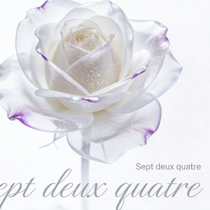 Sept deux quatre