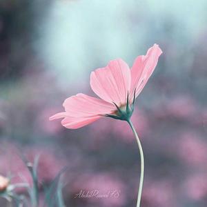 Cillo-Breathe-Cillo（Vocal Mix）（metric remix）