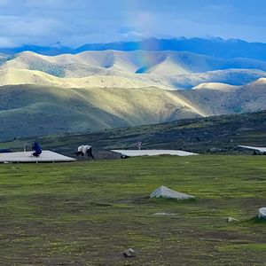 如果你幸福 我会比你先掉眼泪