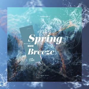 봄바람 (Spring Breeze)（翻自 碗）