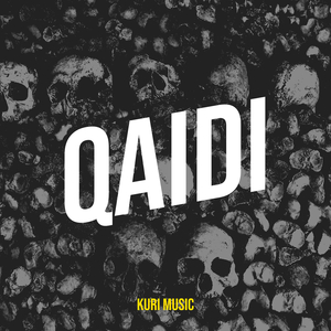 Qaidi