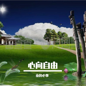 心向自由