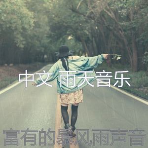 抚慰的雨回忆