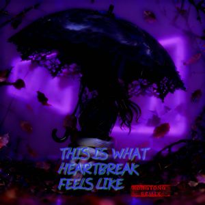 this is what heartbreak feels like(KT Remix)