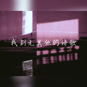 我别无其他的诗歌