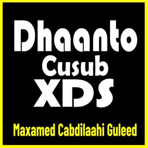 Dhaanto Cusub XDS