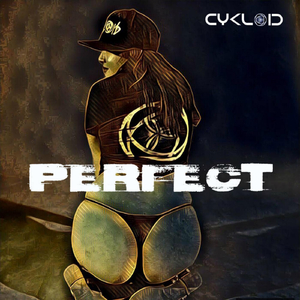 Perfect