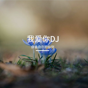 我爱你DJ