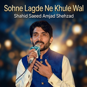 Sohne Lagde Ne Khule Wal