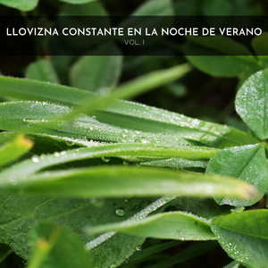 Pañales De Lluvia Ligeros