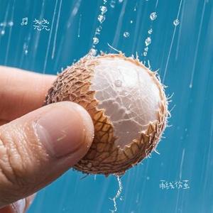 雨线伤茧