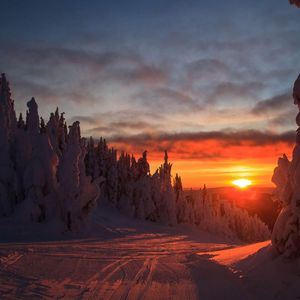 TooHz-Terrible（孤行者 remix）