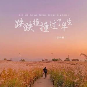 跌跌撞撞过了半生 (伴奏)