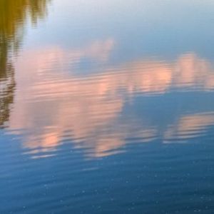 告白而非告别时