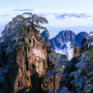 孤独旅人的星途归宿