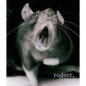 rodent. (Demo)