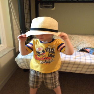 I Apologize for Everything