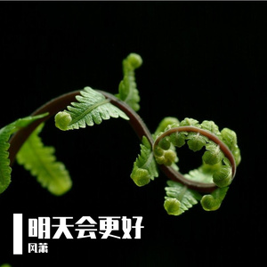 明天会更好