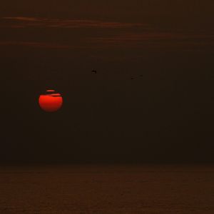 末日边陲