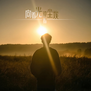 向着光 迎着尘埃