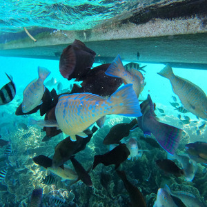 23mins36sec BoilerRoom