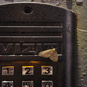 Прилечу к тебе