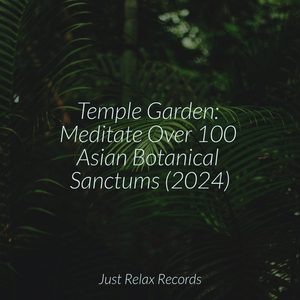 Enchanted Secrets Unveiled