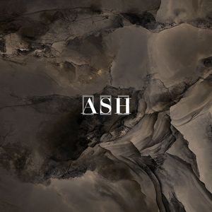 支持
