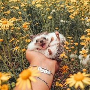 What It Sounds Like (slowed)