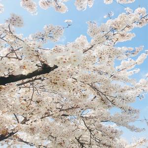 그대란 사람 (Inst.)