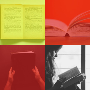 柔和的正在读书时刻