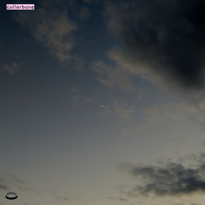 drowning in moonlight